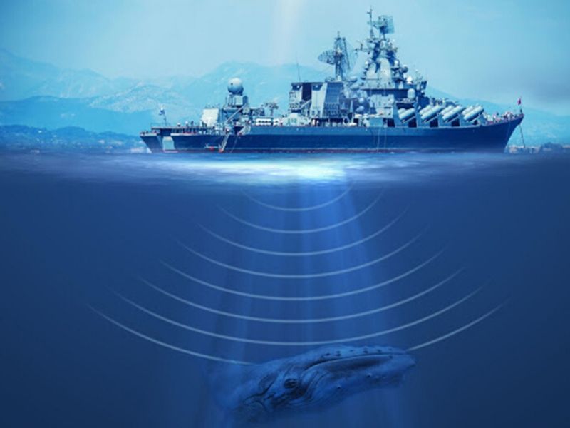 sonar untuk mendeteksi